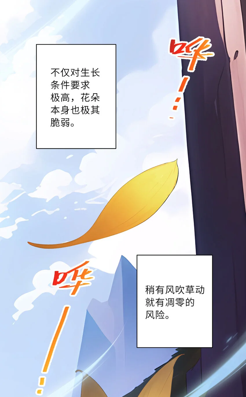 144回 从神明手里夺过来！4