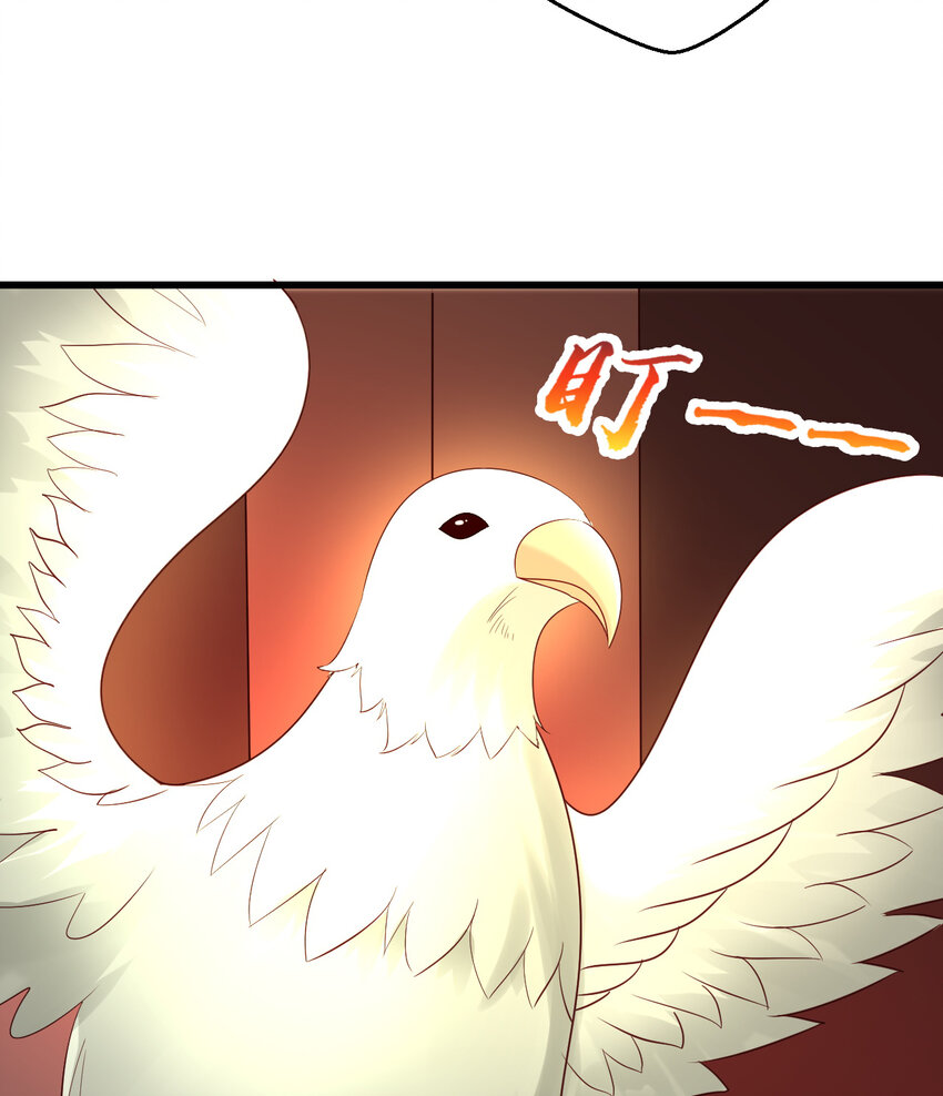57回惩罚开启33