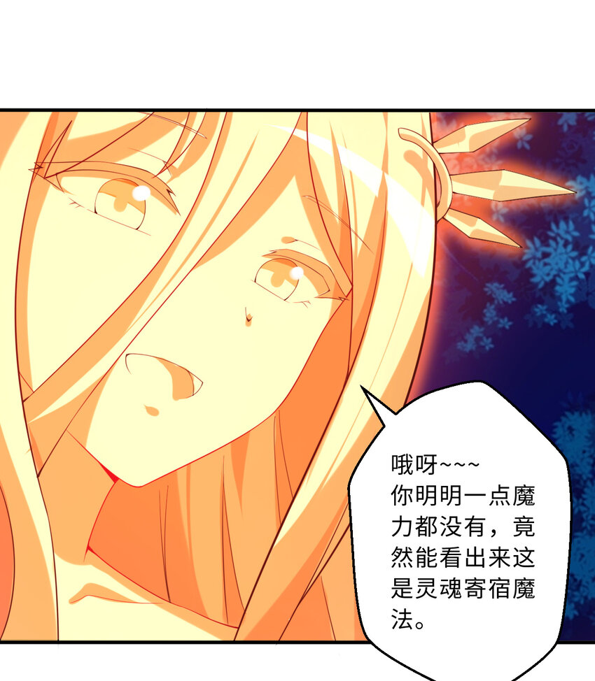52回精灵之森？17