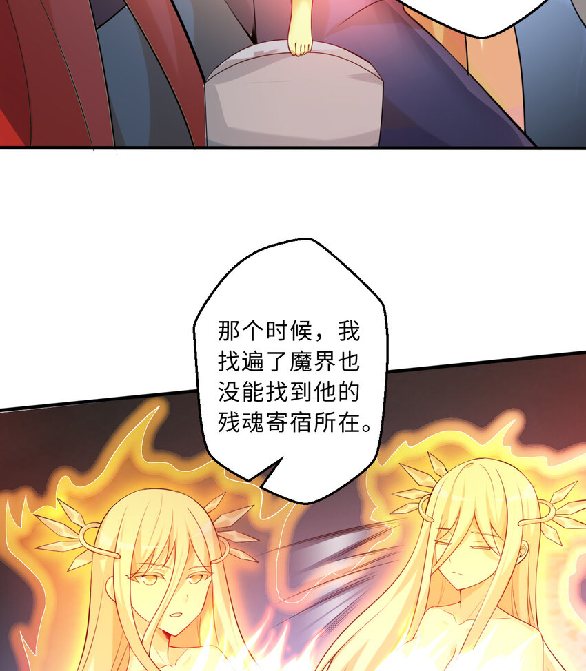 52回精灵之森？24