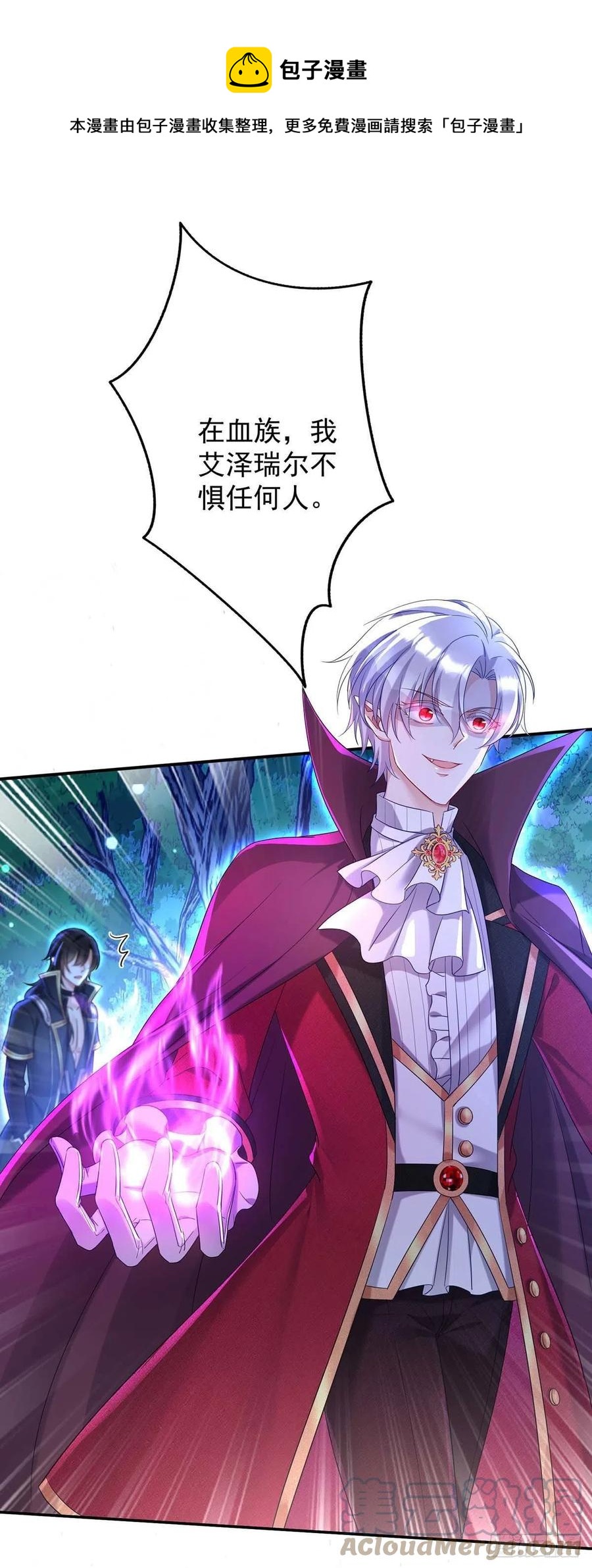 第29话 主人，你没事吧？0