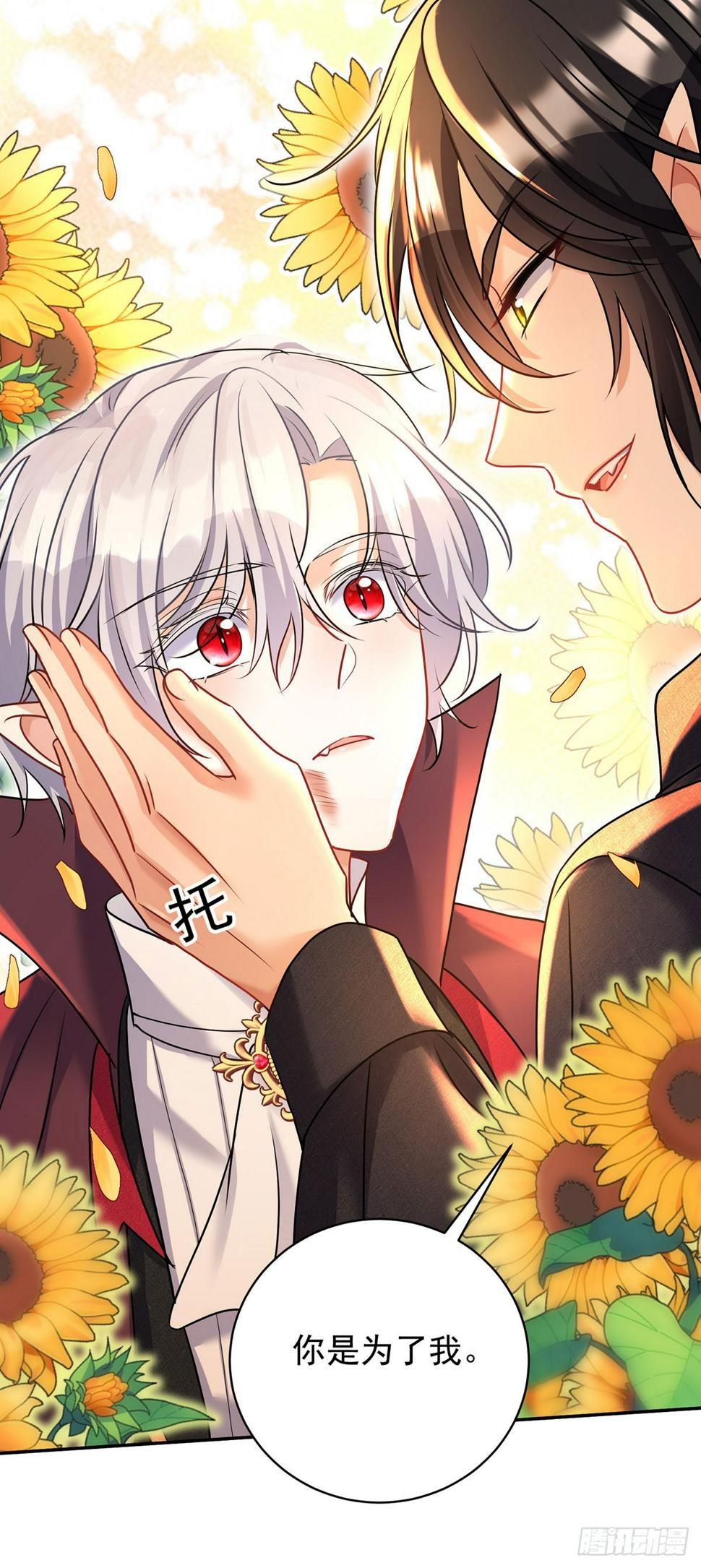 第131话 出头27