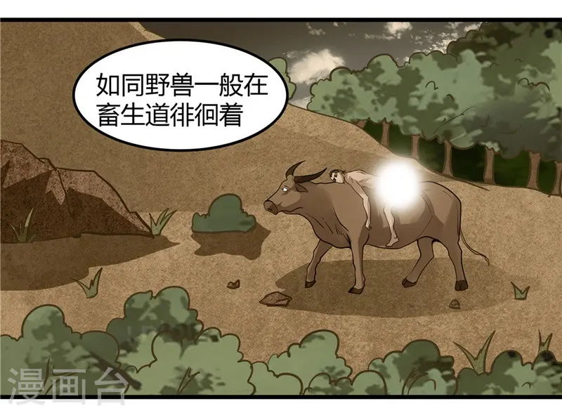 第317话 三战士11