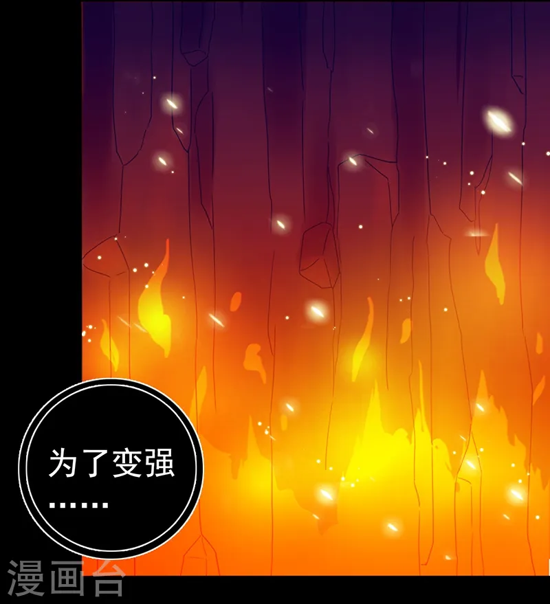 第240话 凭什么？4
