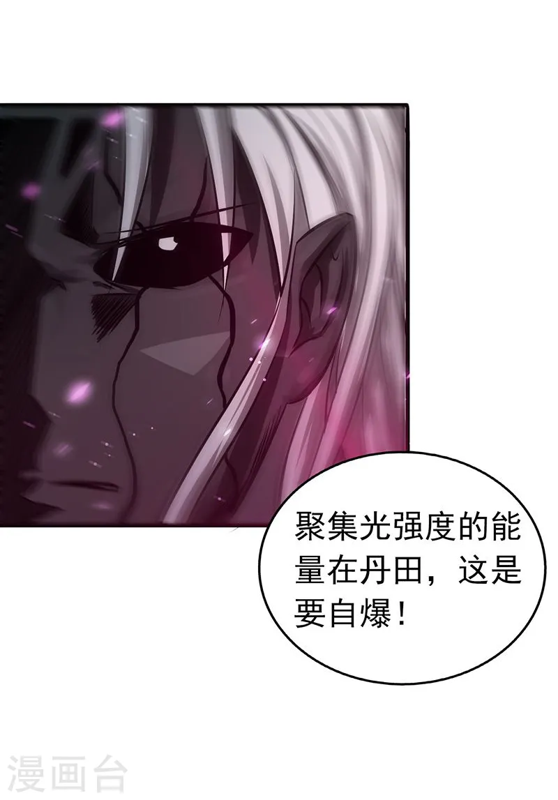 第100话 王的实力28