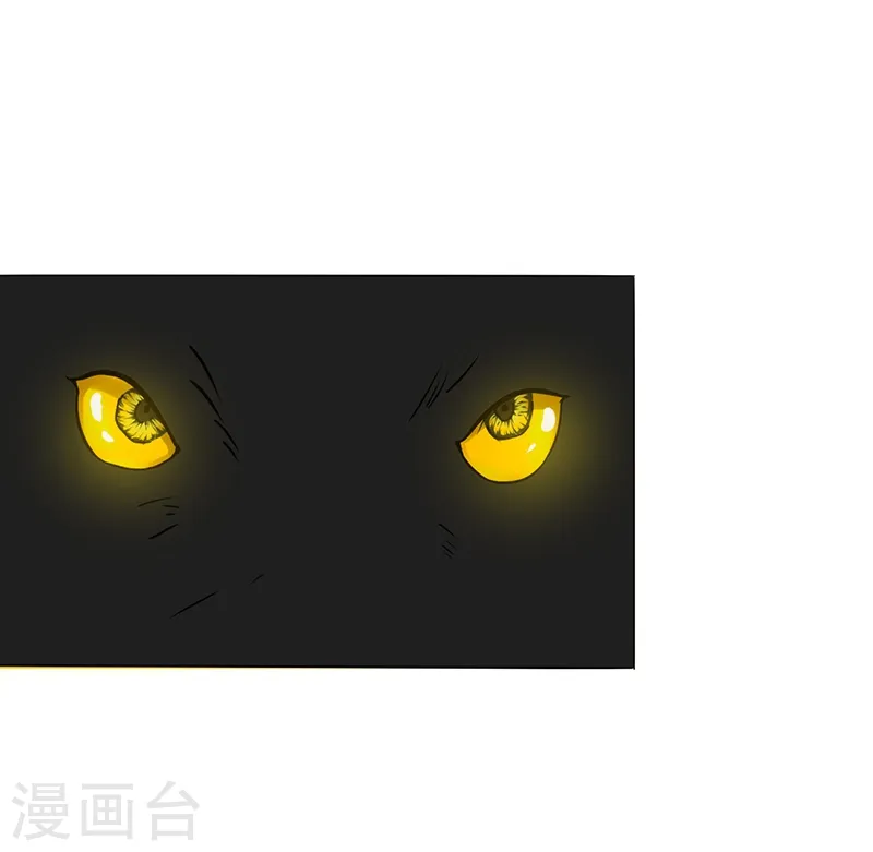 第177话 还有另外三只47