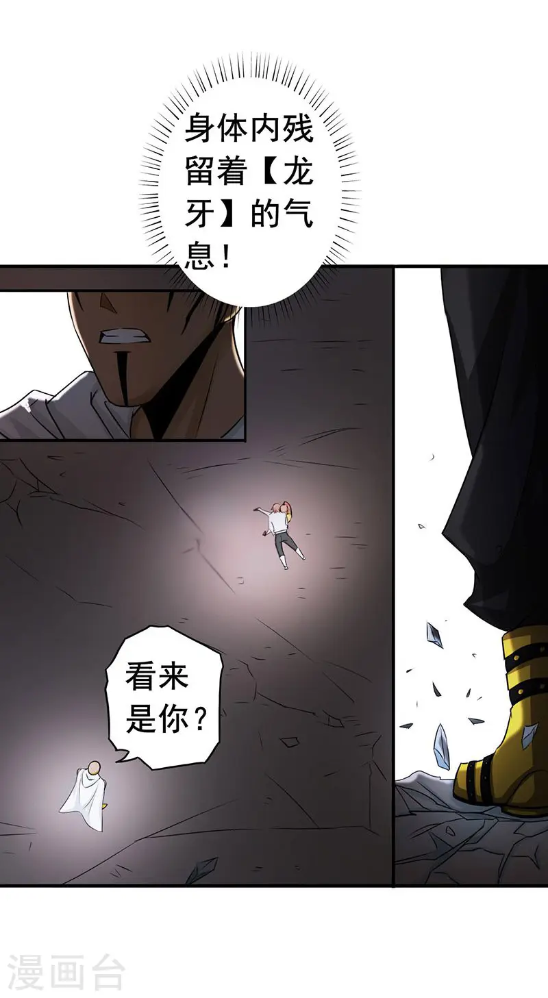 第101话 了解了20