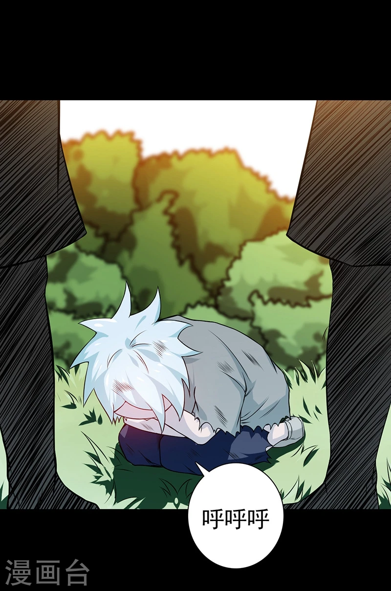 第237话 命运的相逢18