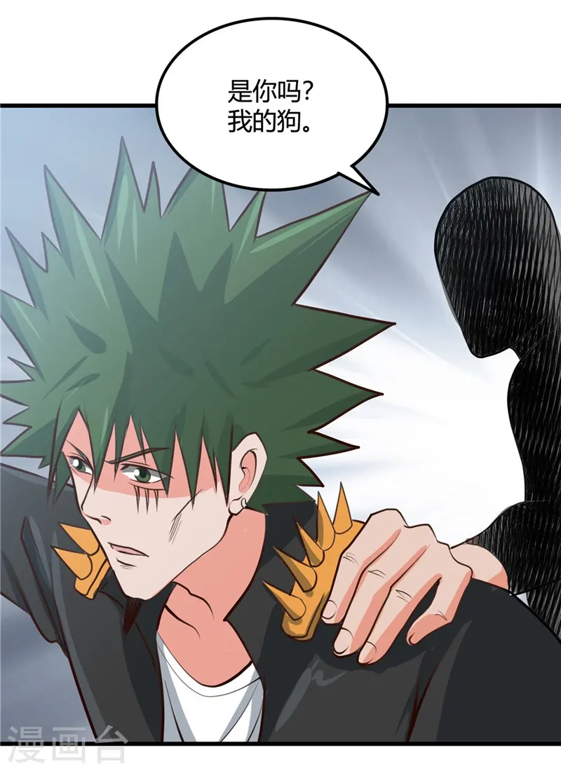 第341话 追寻爱犬的疯子18