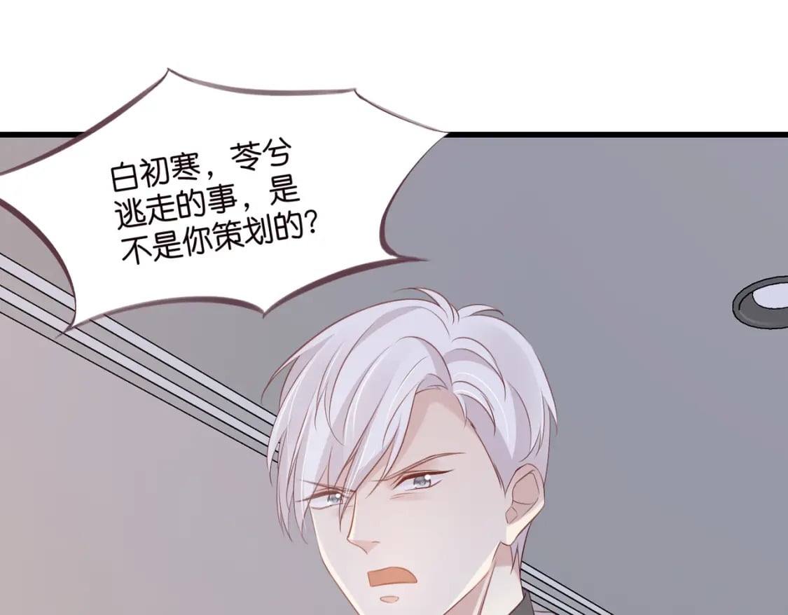 49 算不算殉情77