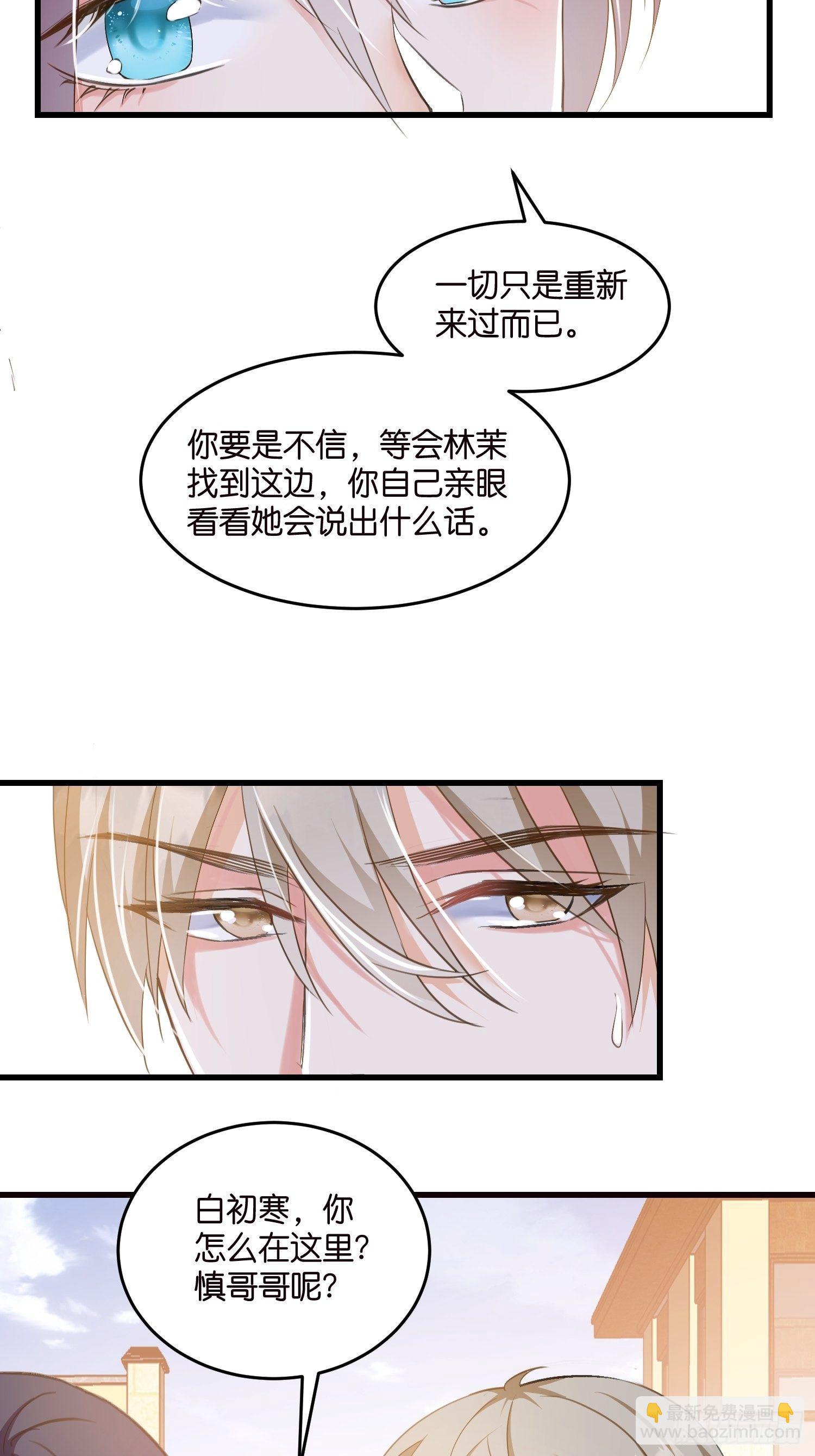 05 我的盟友13