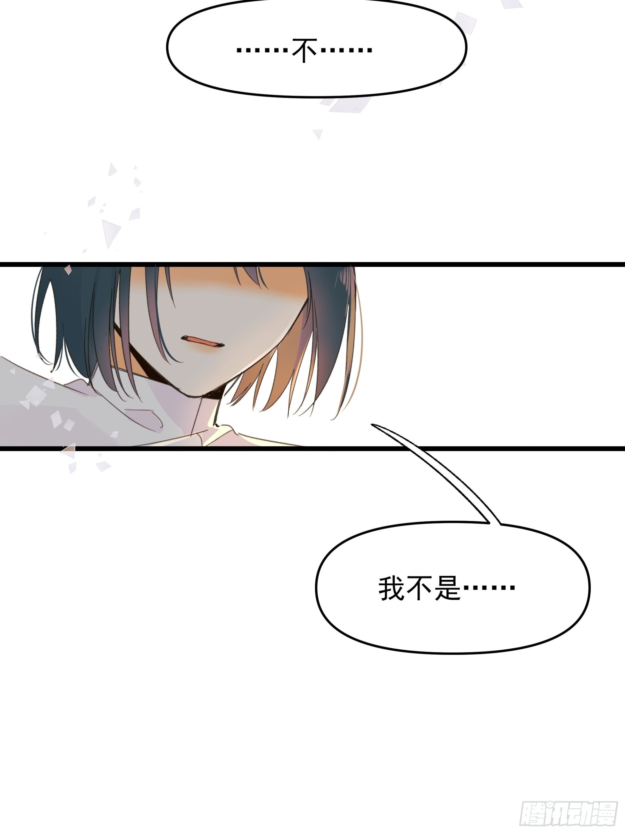 搭档40