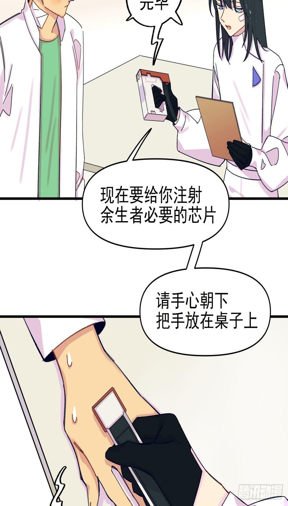 种子萌芽52