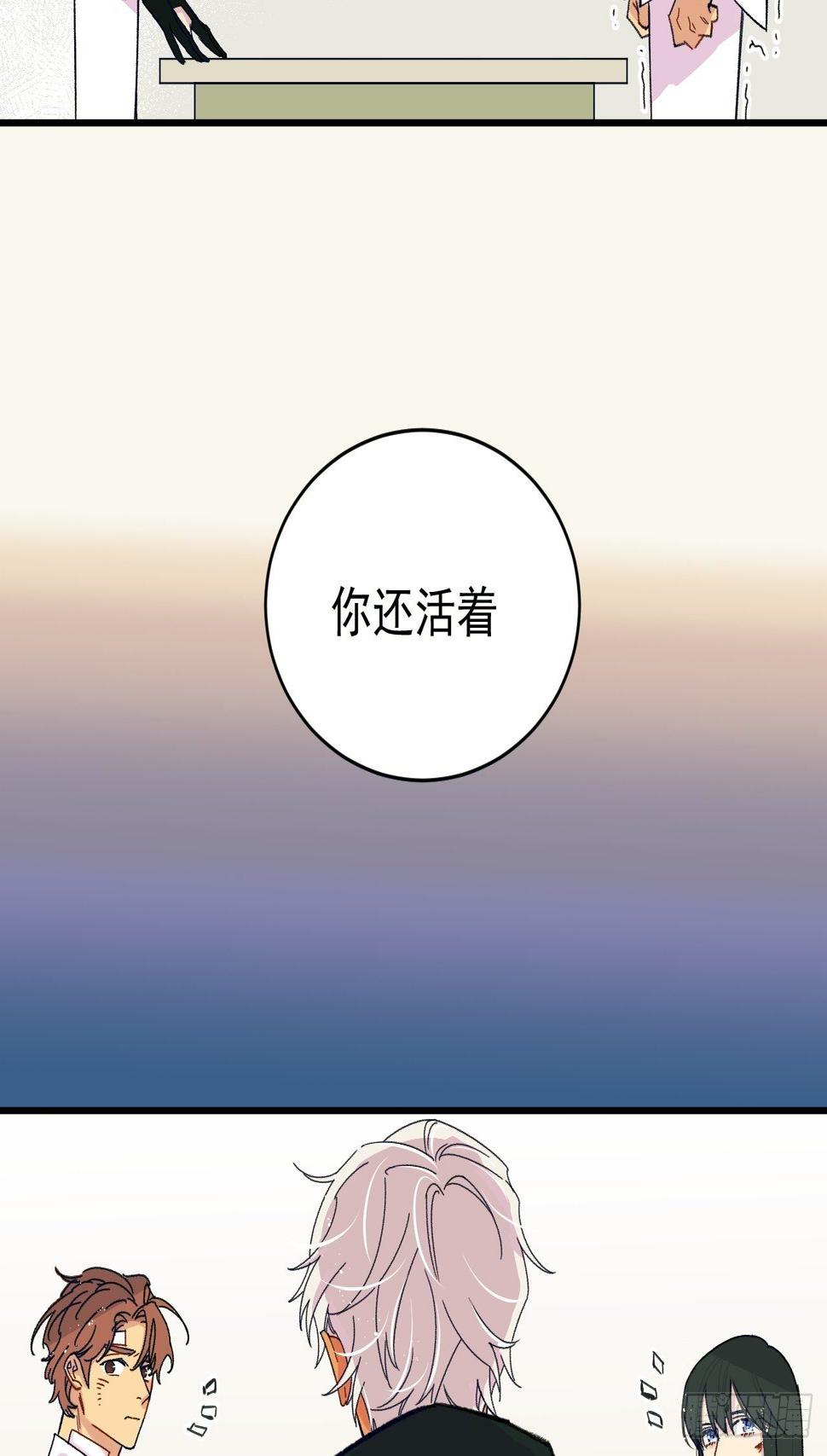 种子萌芽32