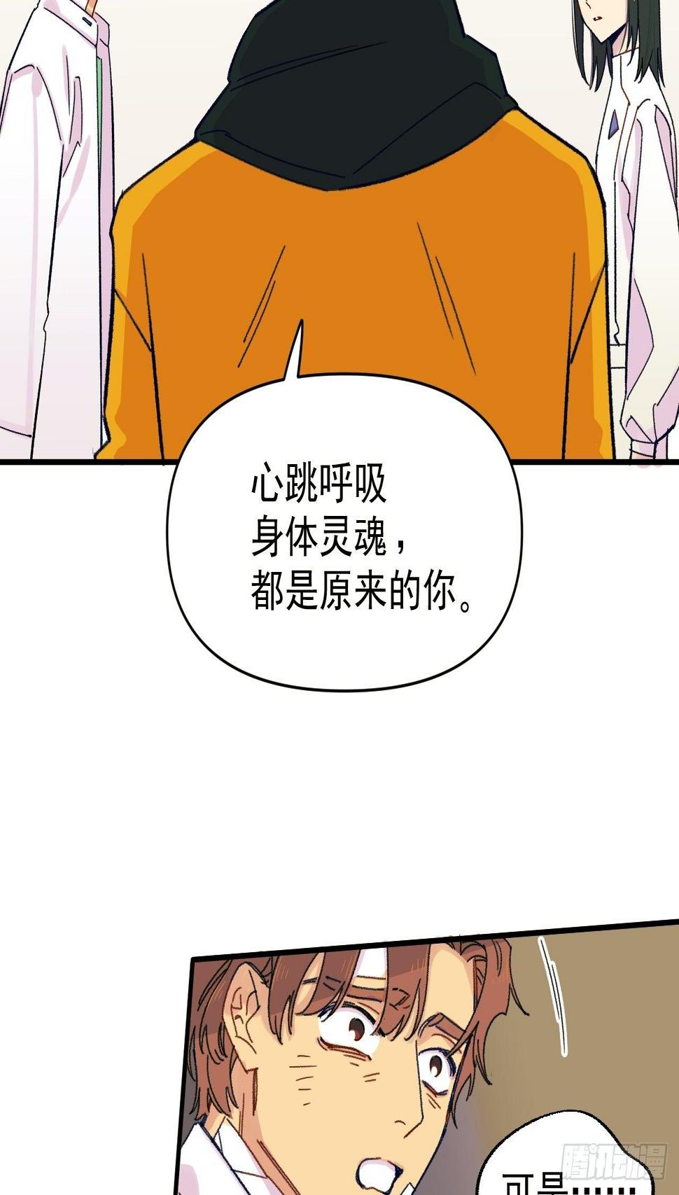 种子萌芽33