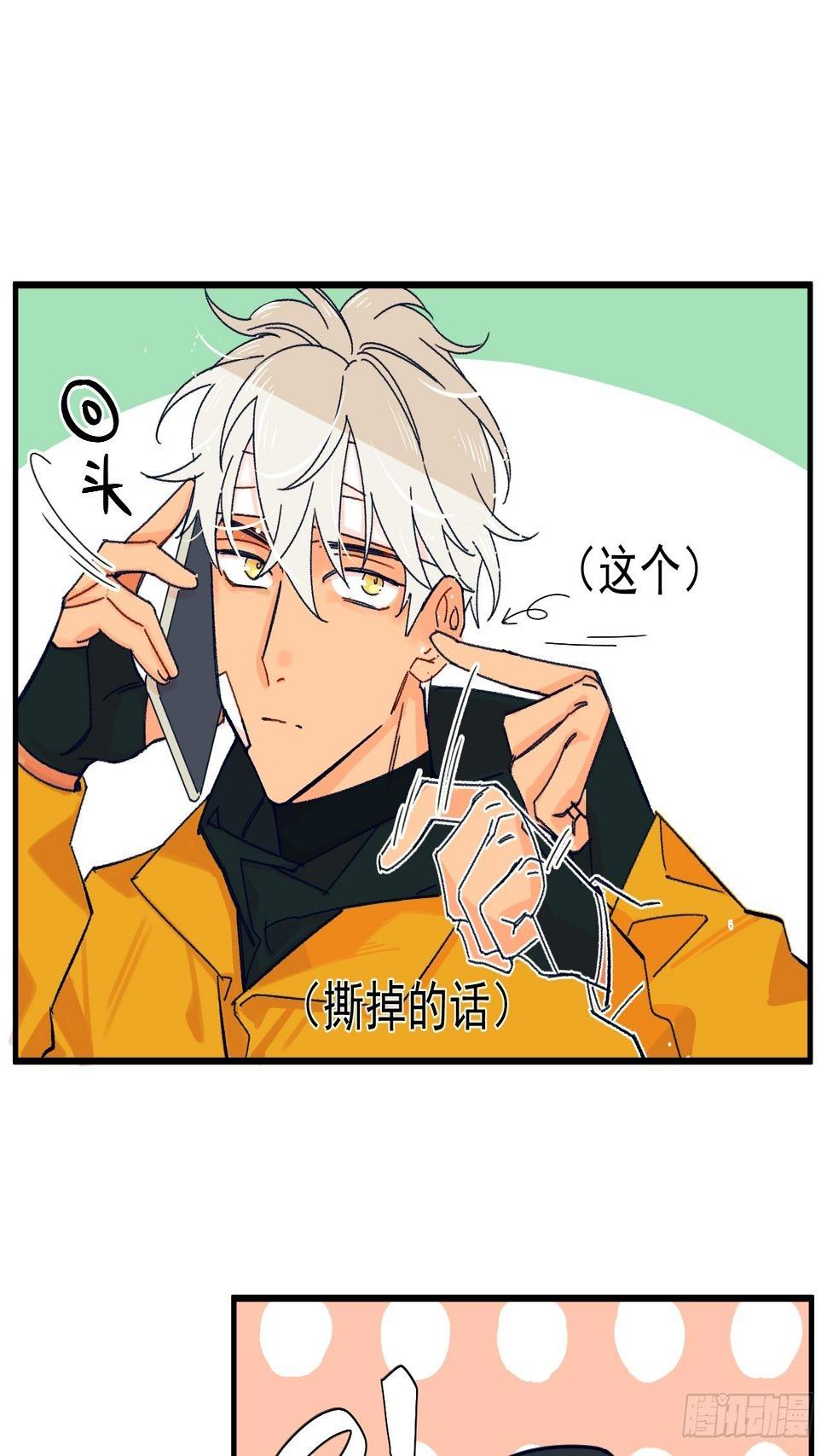 种子萌芽48