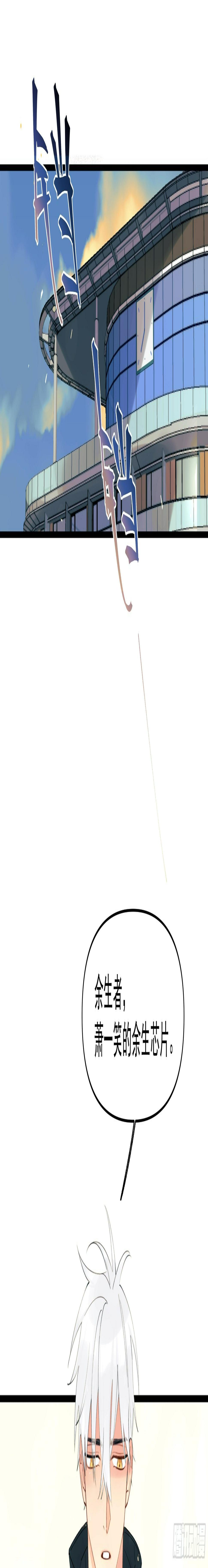 太阳粒子31