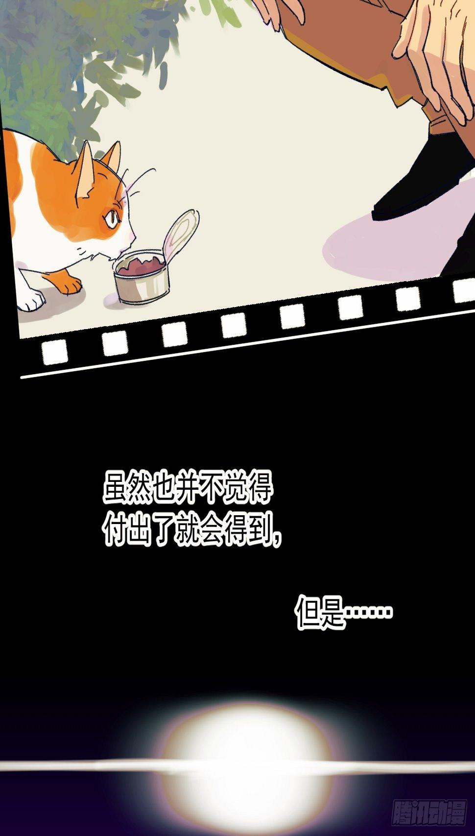 种子萌芽26