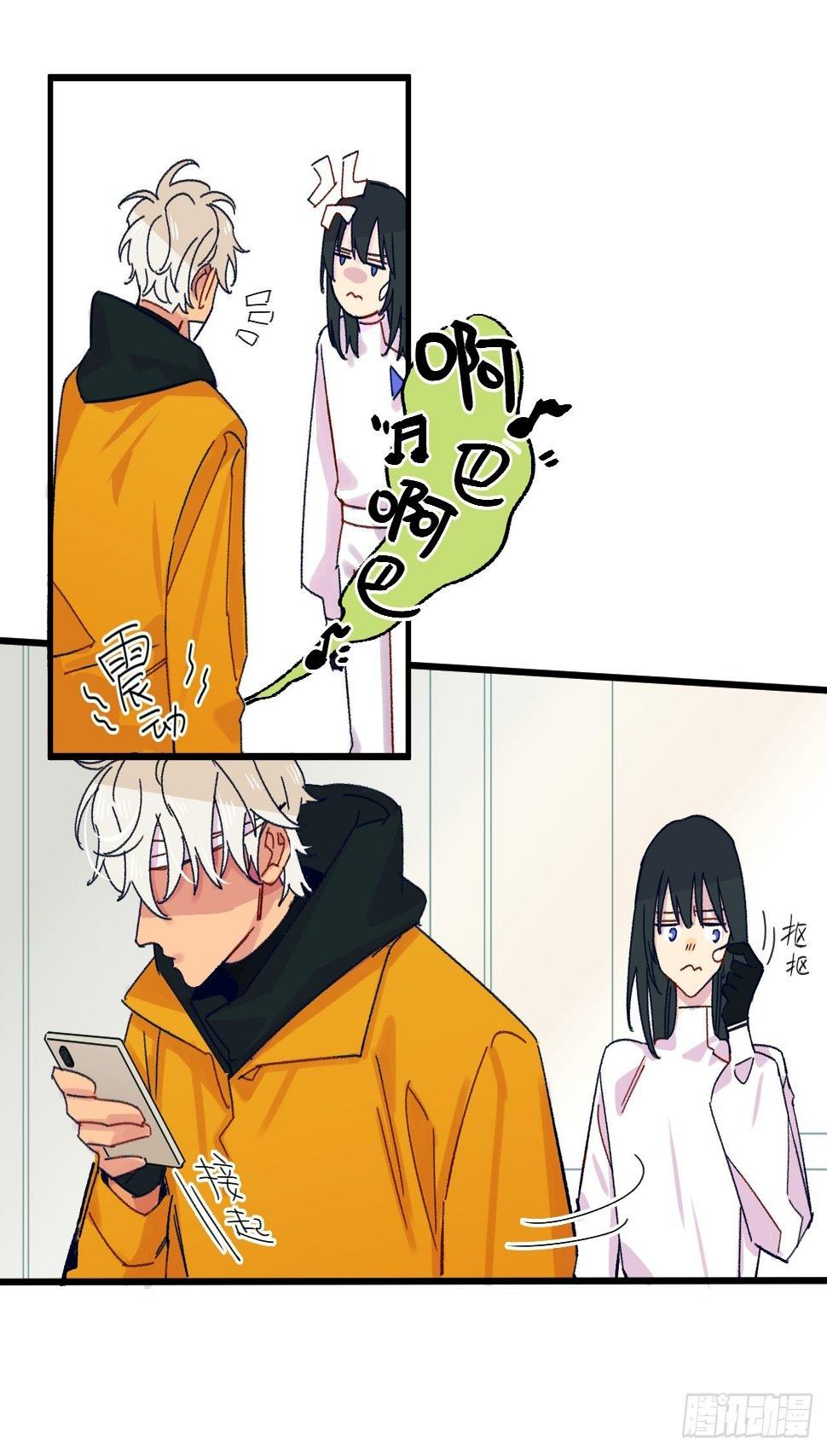 种子萌芽47