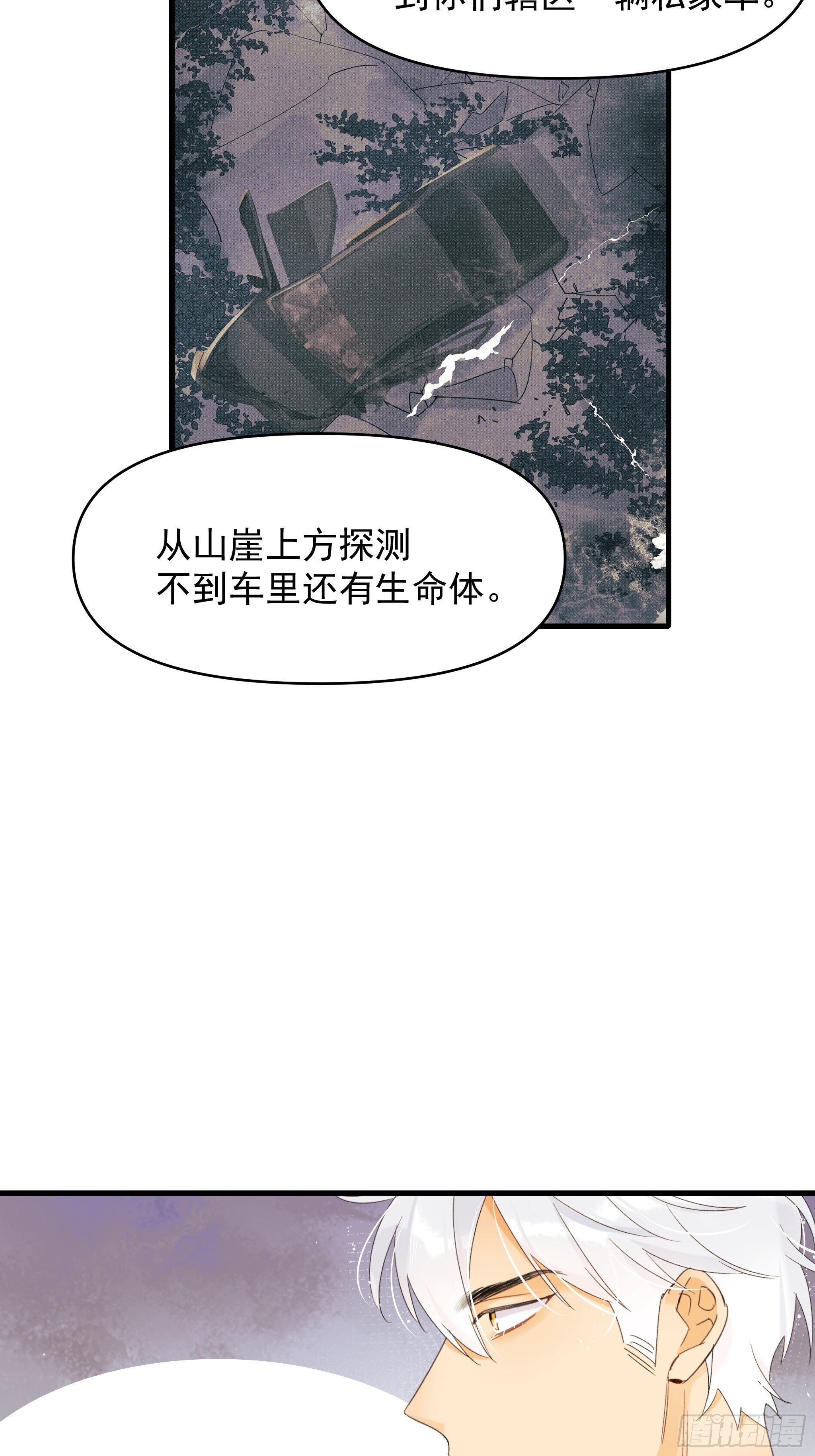 灾难与偏见49