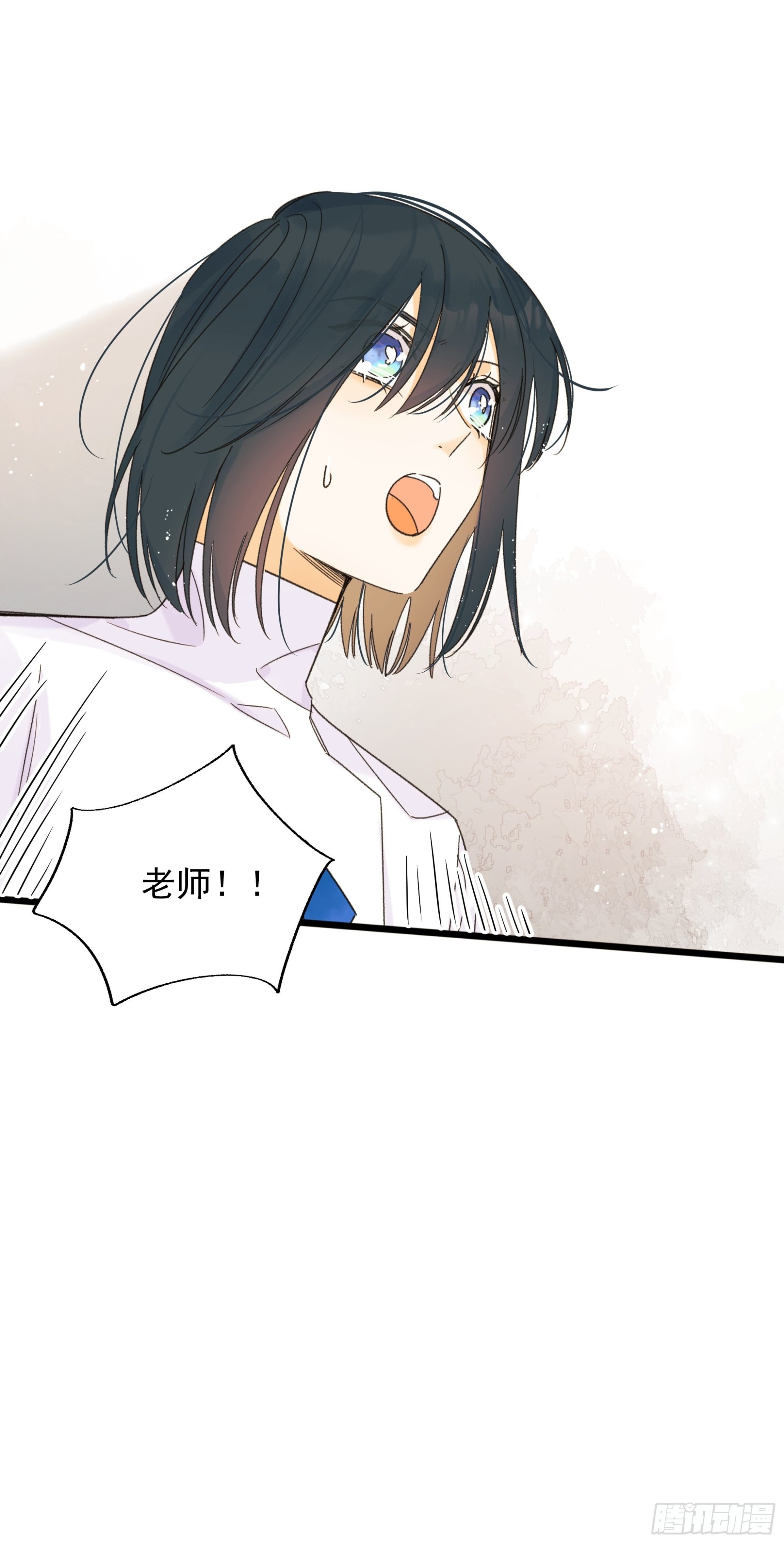搭档15
