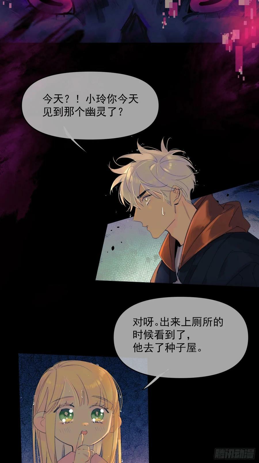 种子211