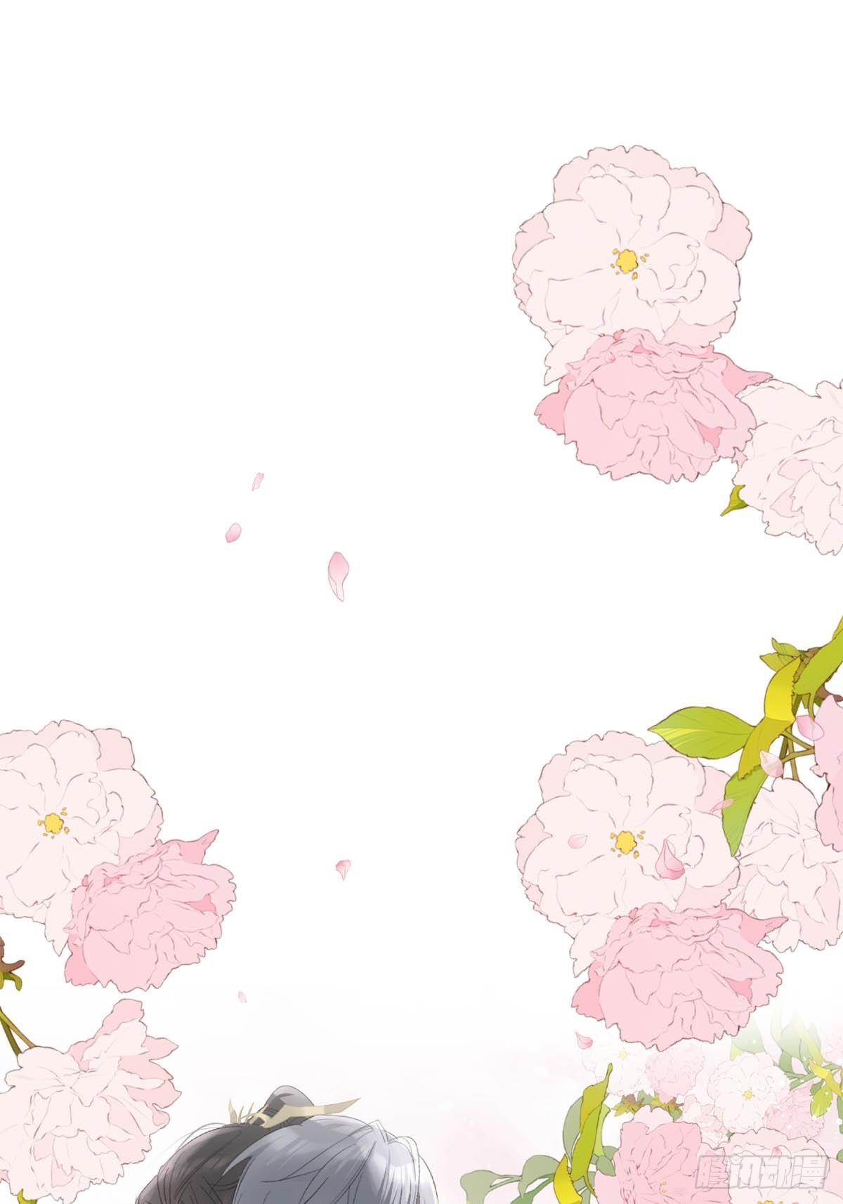 35 最后的机会23