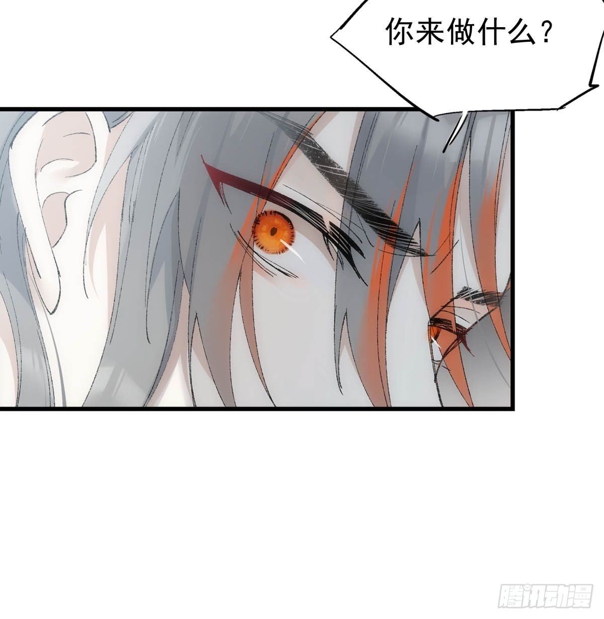 41 我不会让你死11