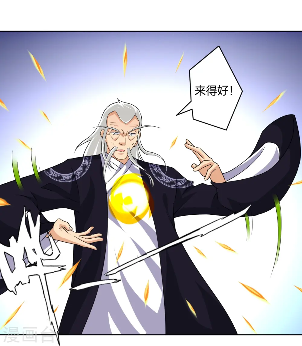 第320话 迎接叶家19