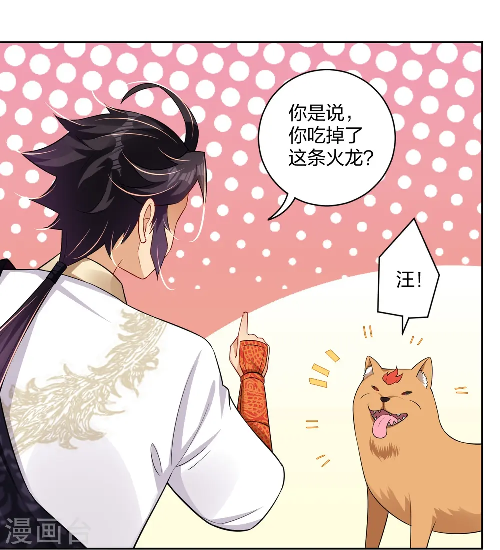 第306话 炼化龙气2