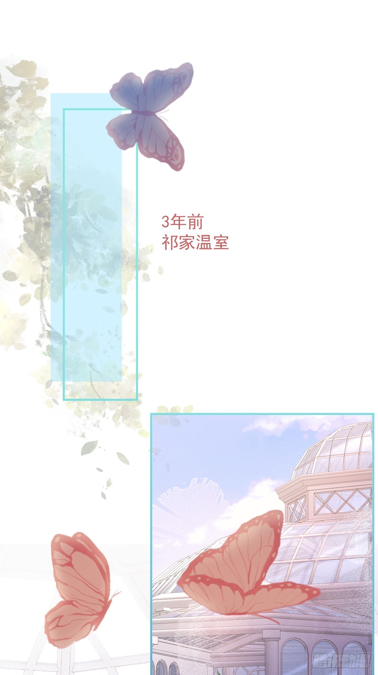 40-哥哥的蝴蝶。25