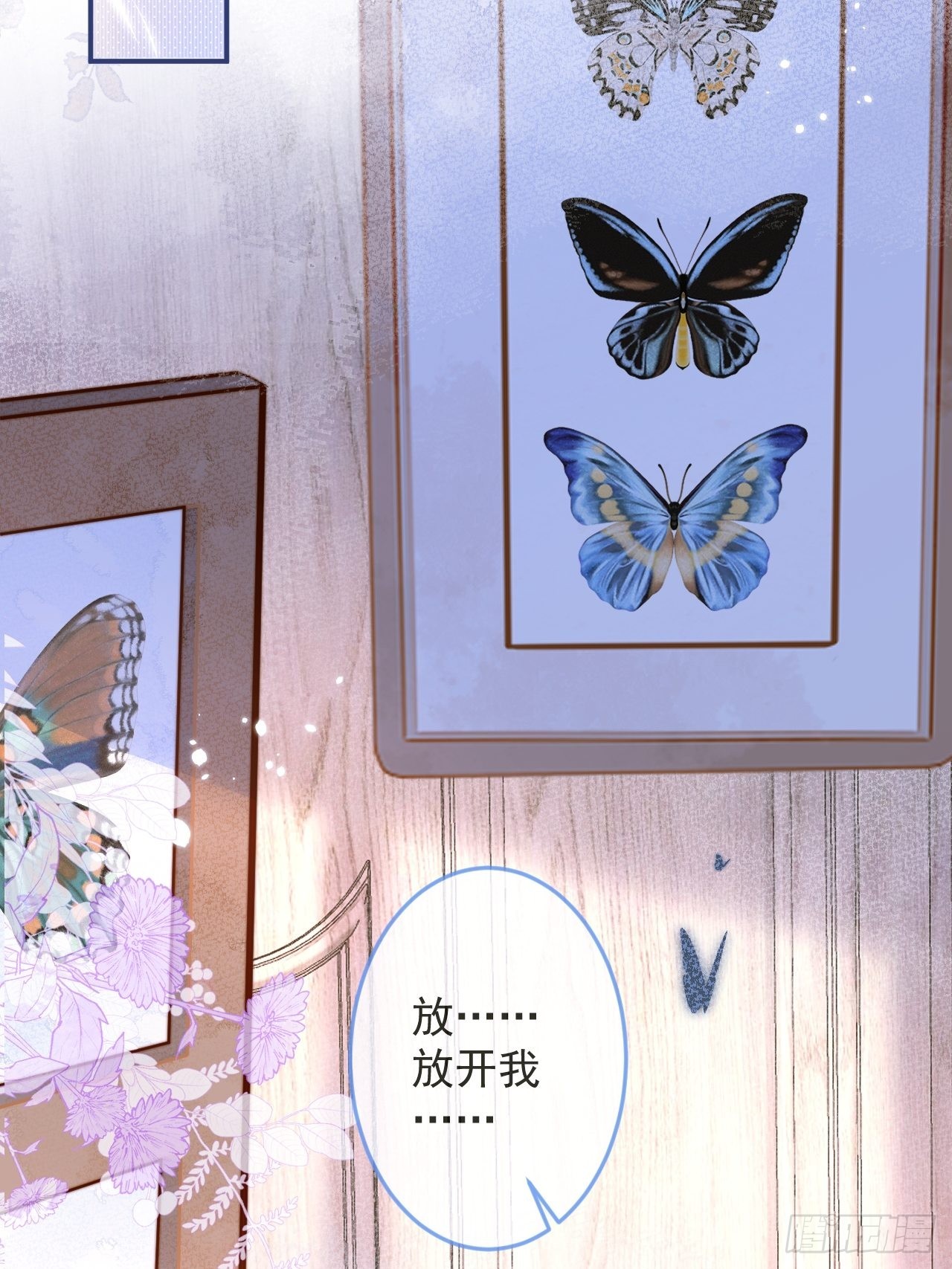 40-哥哥的蝴蝶。12