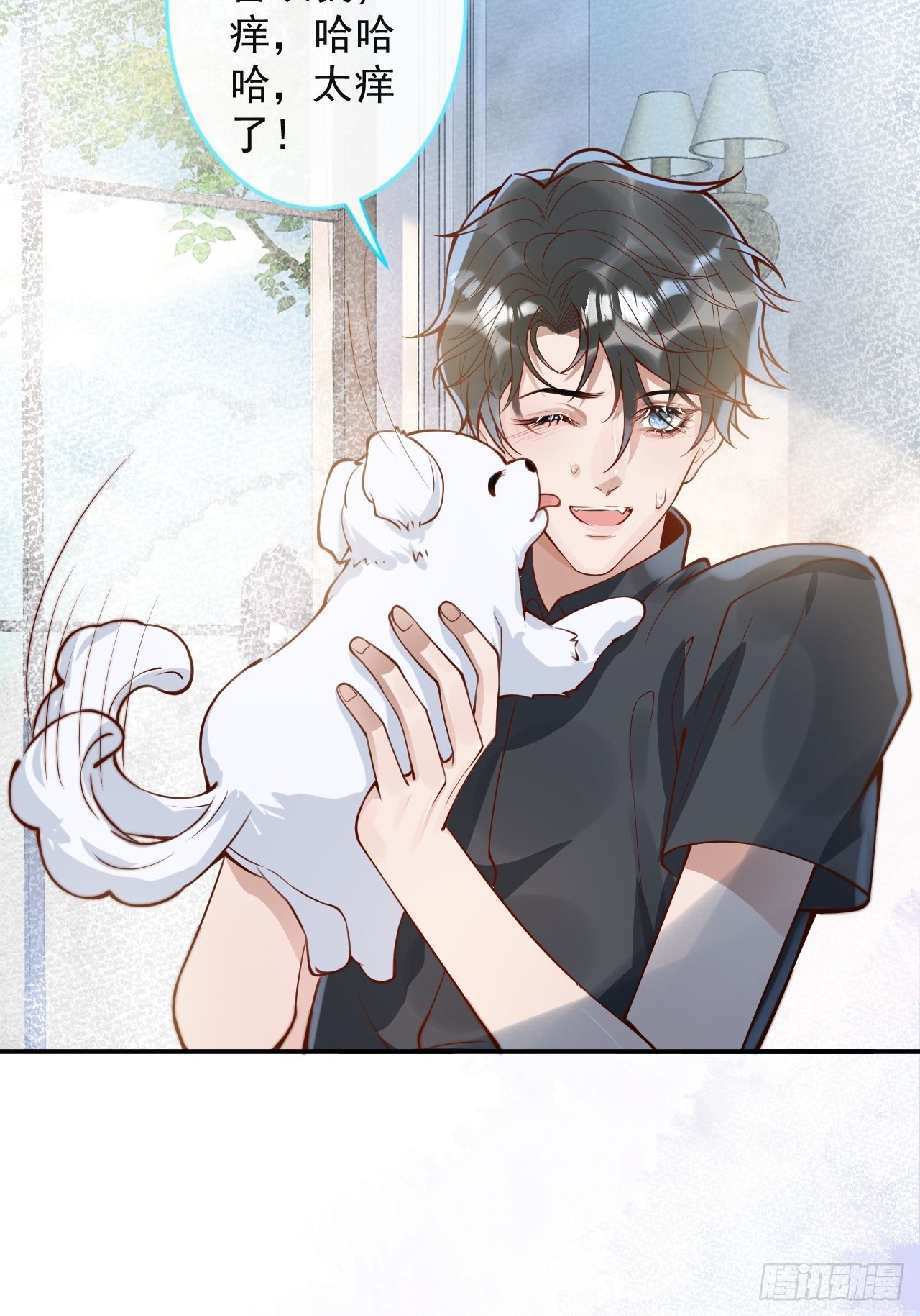 43-小狗还是美人？41