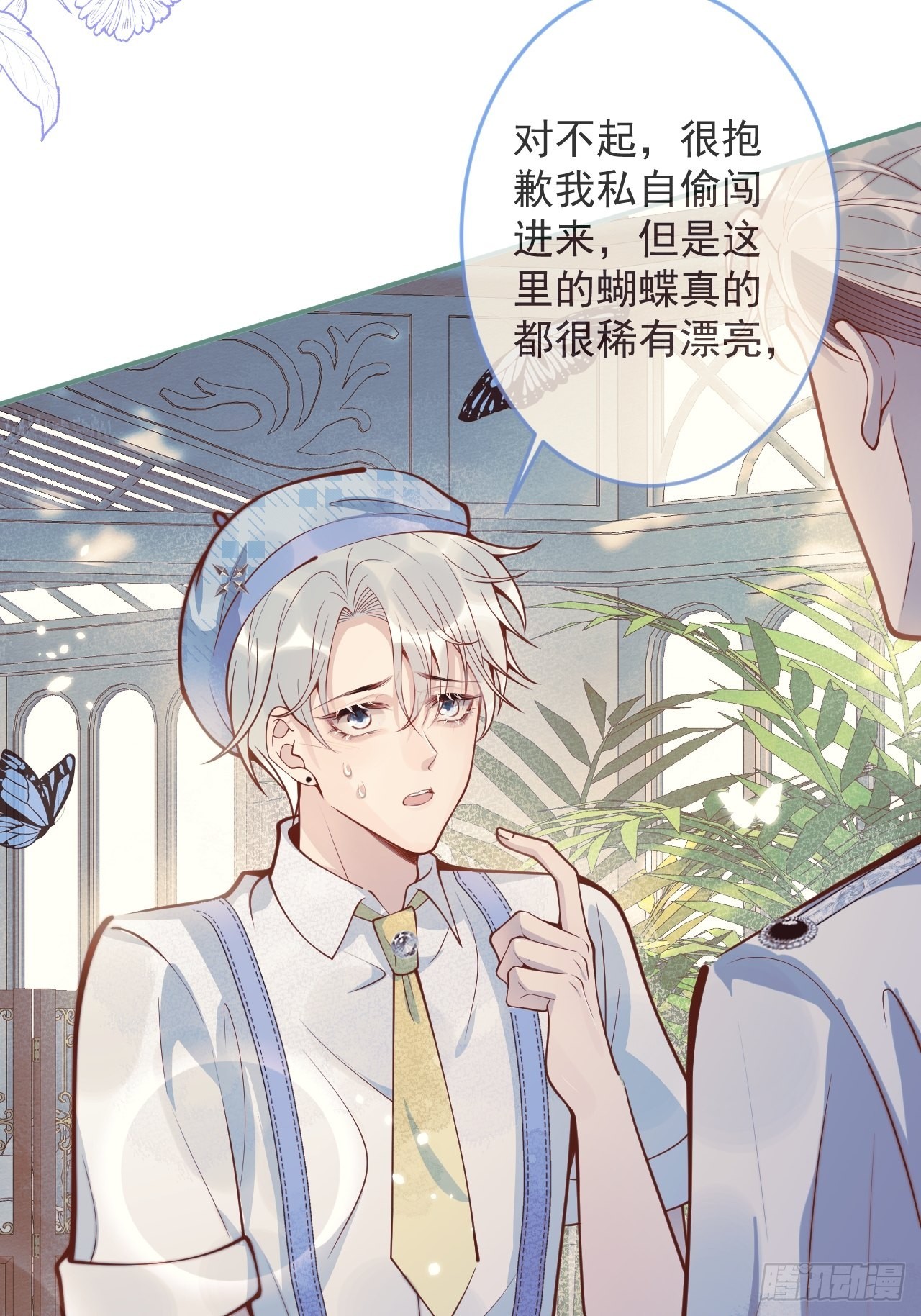 40-哥哥的蝴蝶。34