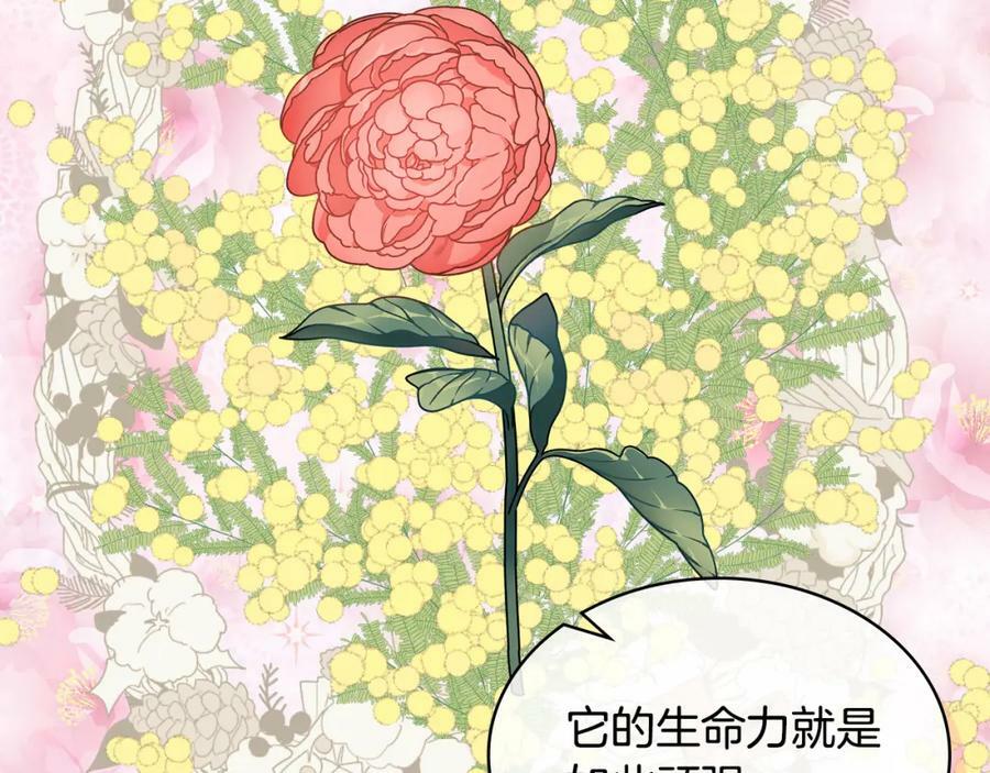 第93话 影子真正的主人65