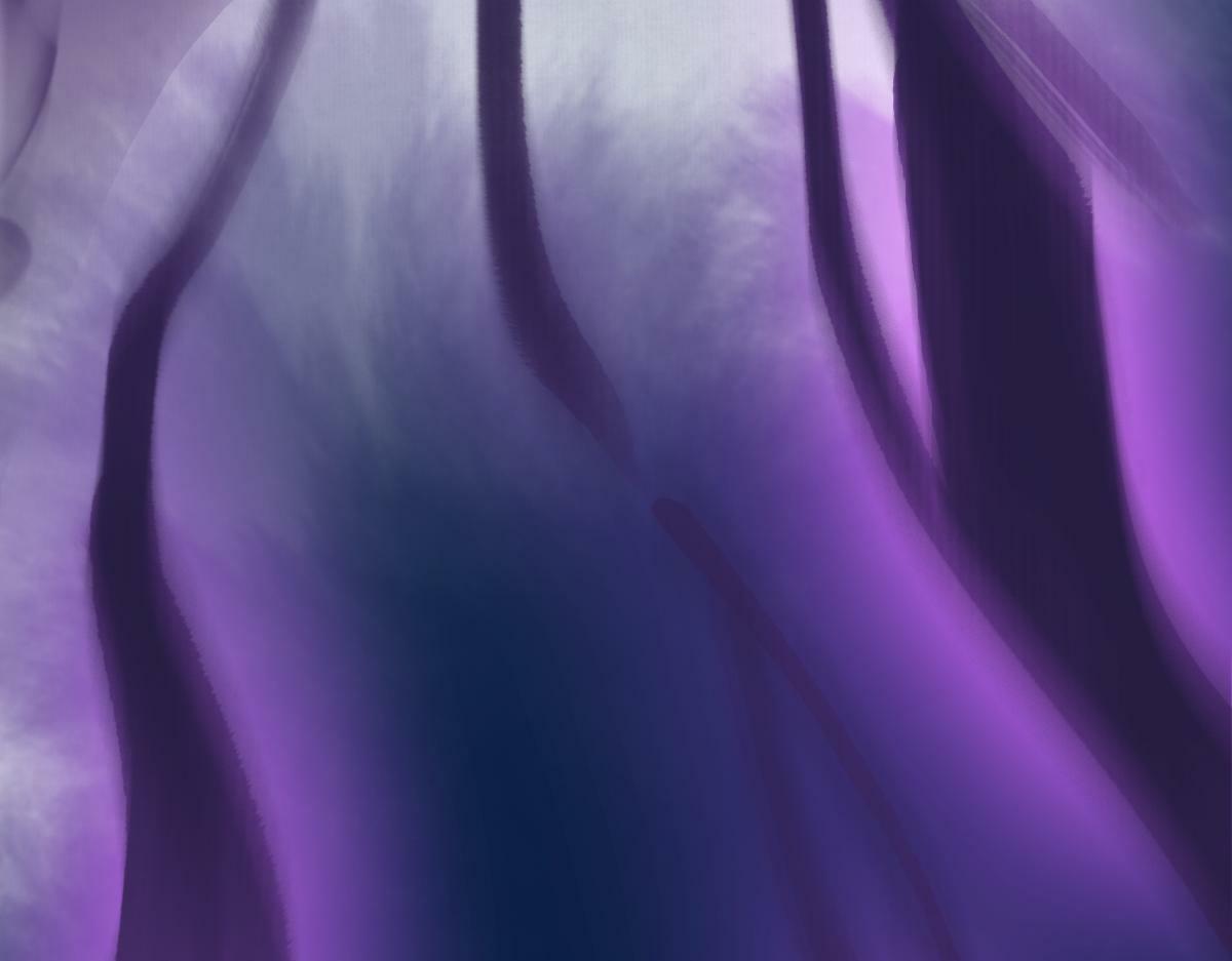 022变成狐狸35