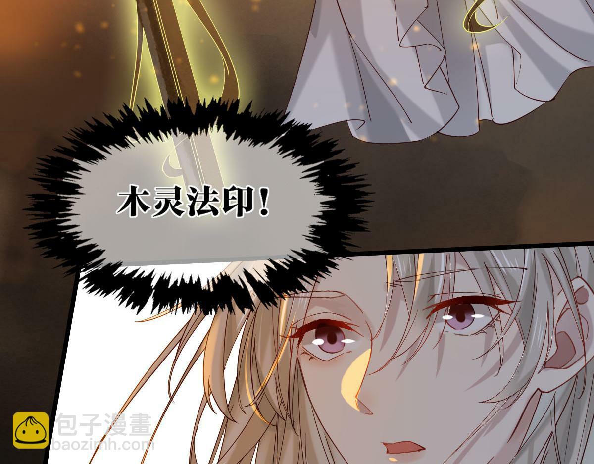 009话 双生元婴34