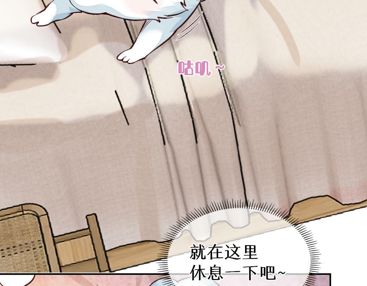 022变成狐狸81