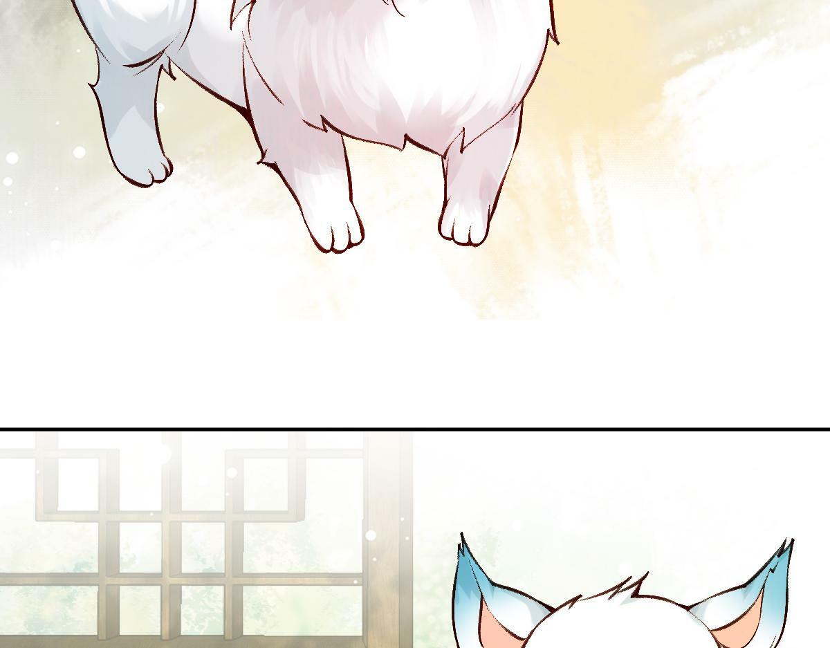 022变成狐狸66