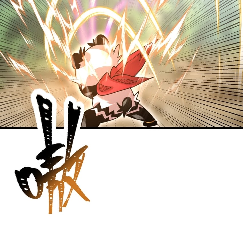 045 鬼面狼蛛24