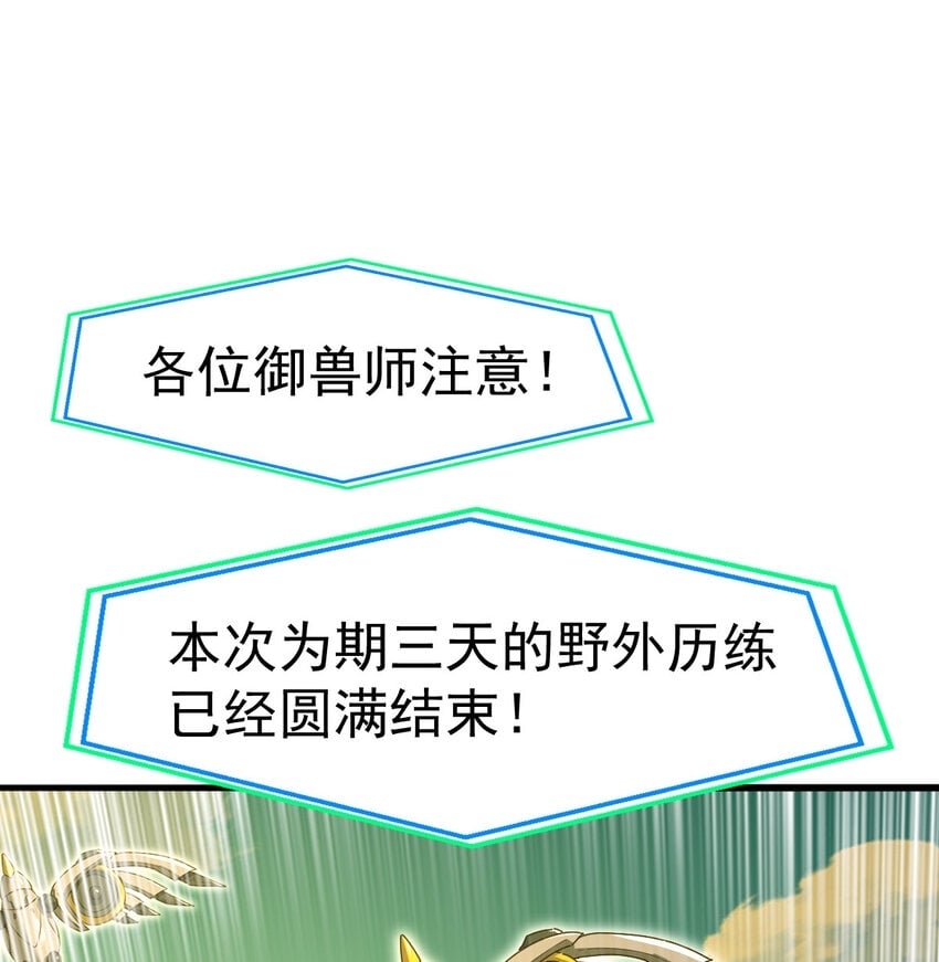 045 鬼面狼蛛46