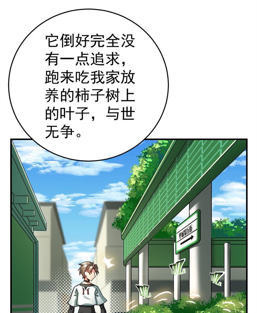 013 穷5