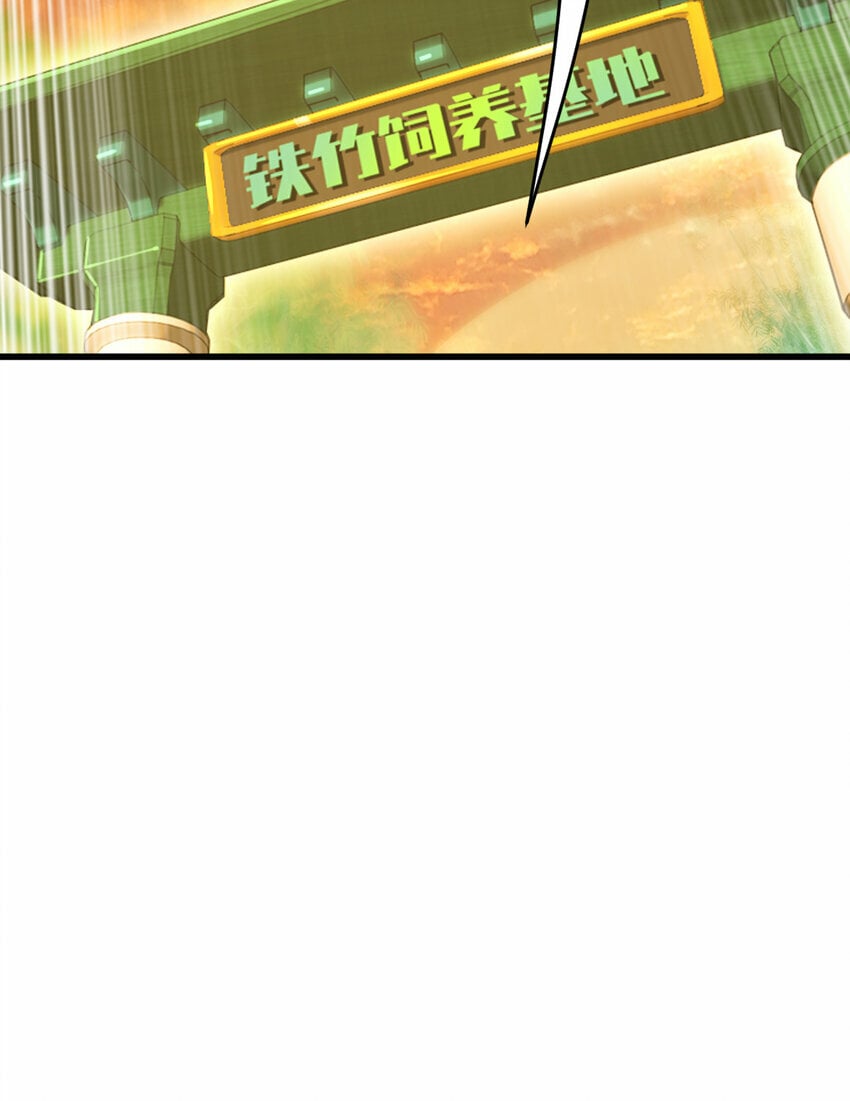055 你就是熊猫王！6