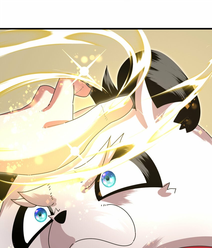 047 神奇的豆50