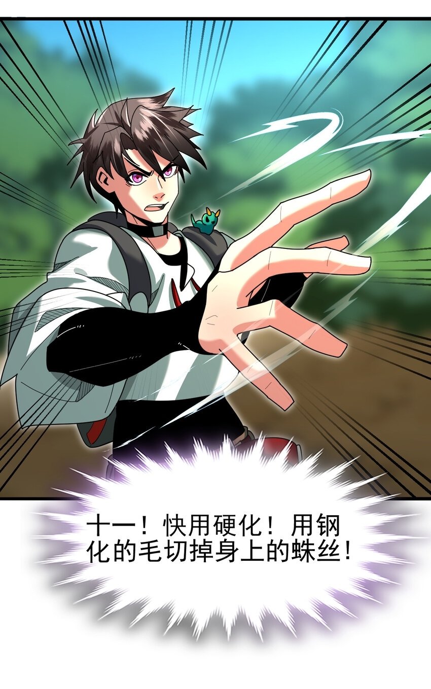 045 鬼面狼蛛4