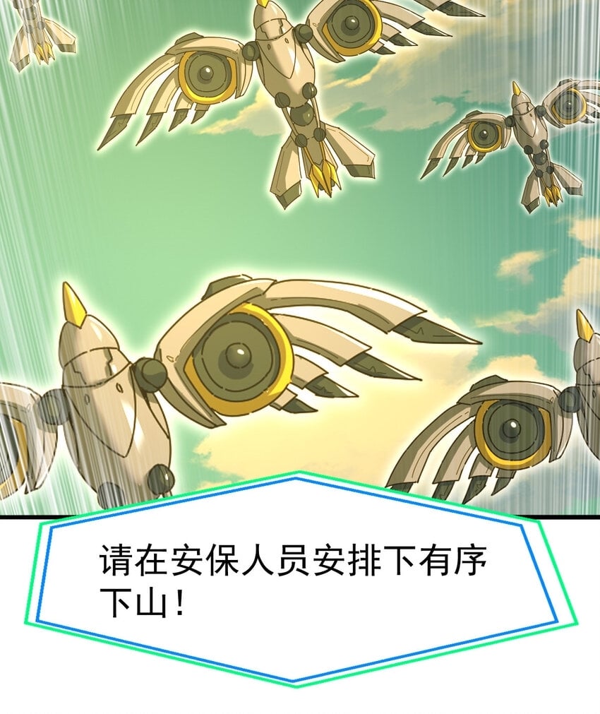 045 鬼面狼蛛47