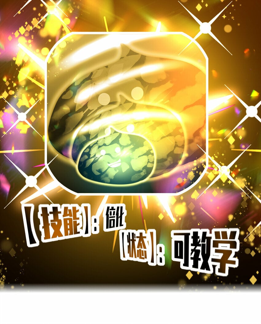 047 神奇的豆40
