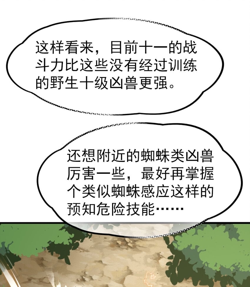 045 鬼面狼蛛36