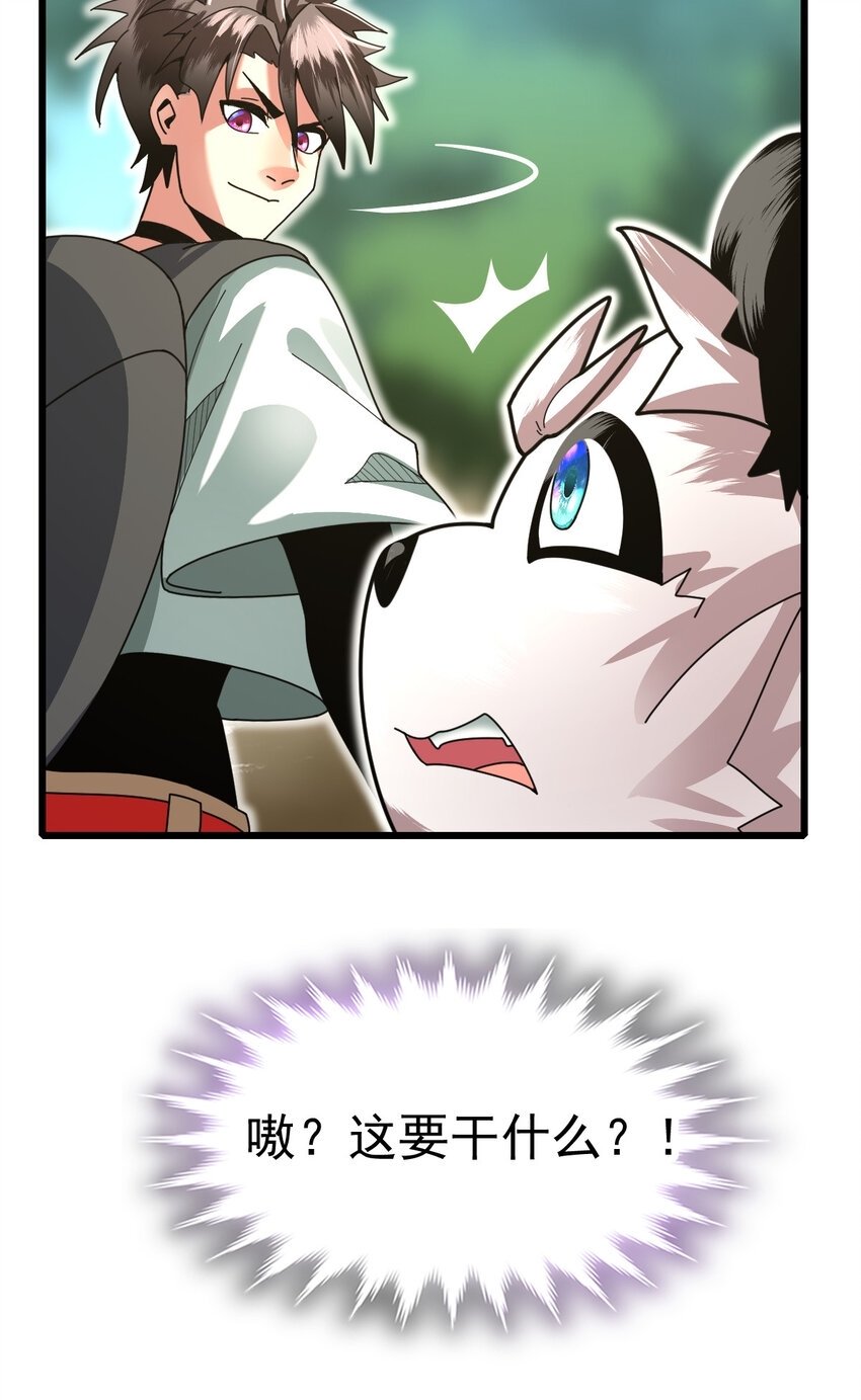 045 鬼面狼蛛14