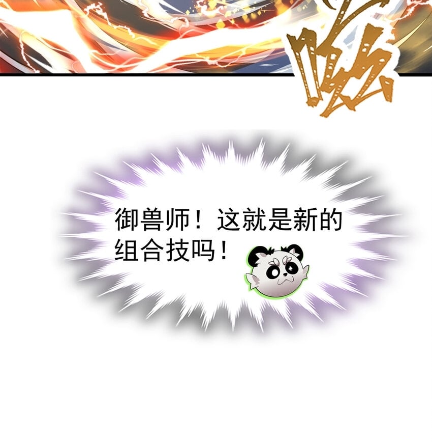 045 鬼面狼蛛31